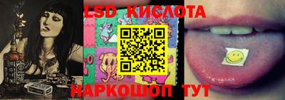 крисы Партизанск