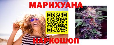 индика Пенза