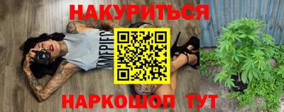индика Пенза